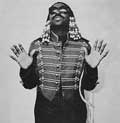 Stevie Wonder